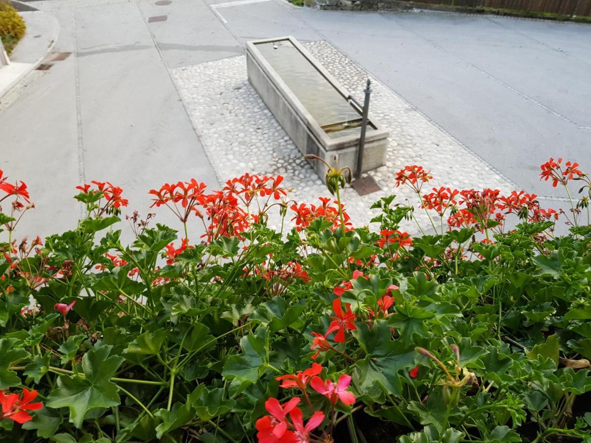 Apartments Gregorc 블레드 외부 사진