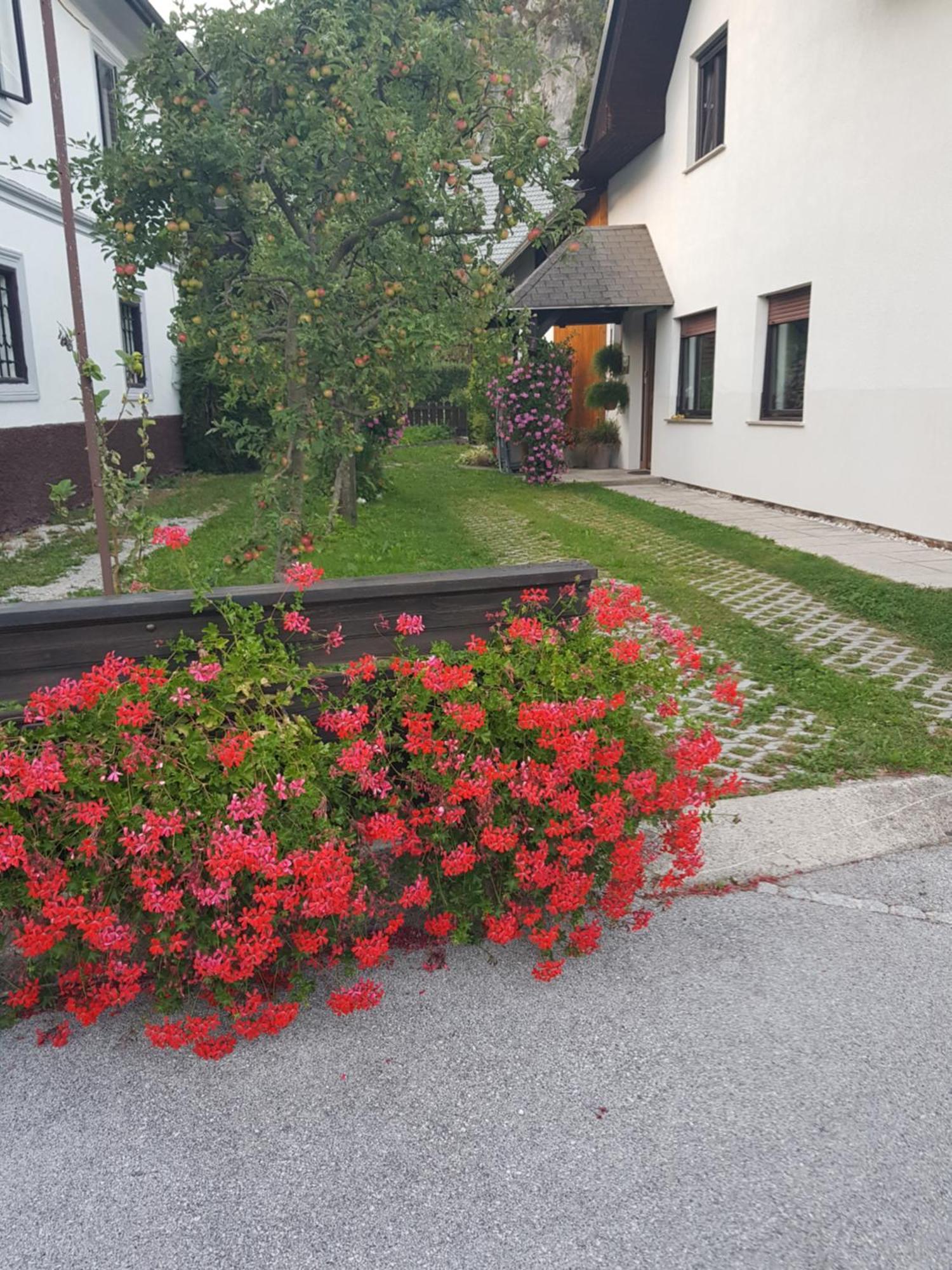 Apartments Gregorc 블레드 외부 사진